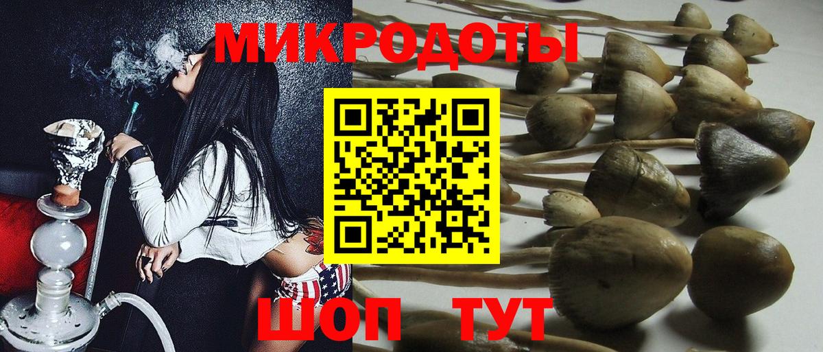 что такое   Галлюциногенные грибы мицелий  Псилоцибиновые грибы Psilocybe  Вход с VPN  Камышин 